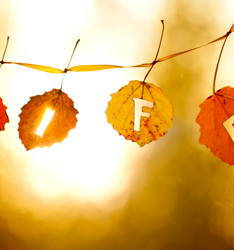 Life Has Seasons: Here is How You Can Start Working With Yours